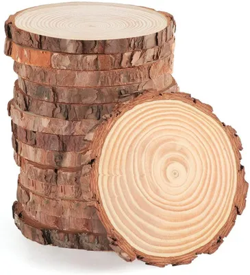 Naturholz-Scheiben 12-14 cm, 10 Stück, für DIY-Deko