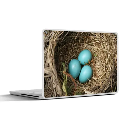 Produktbild von MuchoWow® Laptop Aufkleber Sticker Cover Eier - Blau - Rotkehlchen 25x18 cm - Laptop-Deko