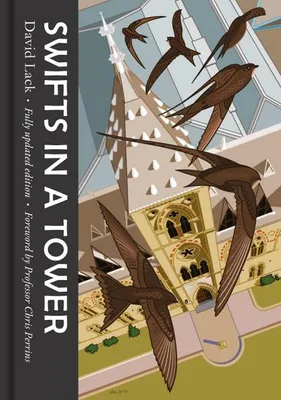 Produktbild von Swifts in a Tower