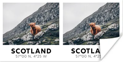 Produktbild von MuchoWow® Poster Schottischer Highlander - Kuh - Schottland - Tiere 40x20 cm - Poster für die Wand - Poster Schlafzimmer