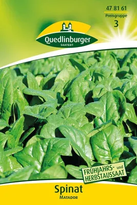 Produktbild von Spinat Matador (20 g) | Spinatsamen von Quedlinburger
