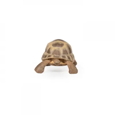 Productafbeelding van Papo 50264, Verzamelfiguurtje, Films en televisieseries, 460 gram