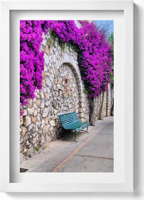 Produktbild von Straße mit Blumen in Capri, Italien– Wandbild mit Rahmen – Gerahmtes Bild  – Wanddekoration – 20x30 cm – Weiß