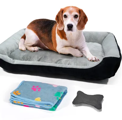 Image de Lit pour chien, taille moyenne, avec bords surélevés et lavable. Lits pour chiens