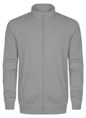 Image de EXCD by Promodoro - Sweat à capuche pour homme LT5605 (L) (nouveau gris clair uni)