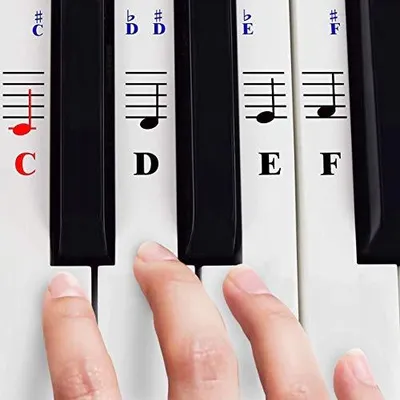 Zdjęcie produktu dla Naklejki na klawisze pianino fortepianowe przezroczyste zdejmowane 52 szt