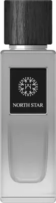 Zdjęcie produktu dla Herenparfum EDP The Woods Collection 100 ml Natural North Star