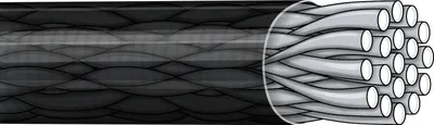 Obrázek produktu pro Dragon American Fishing Wire Surflon Vorfach 3 kg 20 cm 2 Stk.