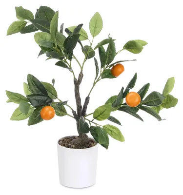 Produktbild von Dekorativer Orangenbaum, 58 cm