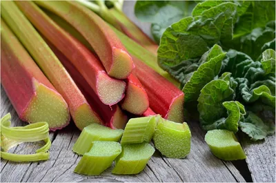 Produktbild von Stauden Gänge 1 x Rheum rhabarbarum 'Goliath' im 2 Liter Topf - Rhabarber - Der Gigant für fruchtige Leckereien - ertragreiche Sorte