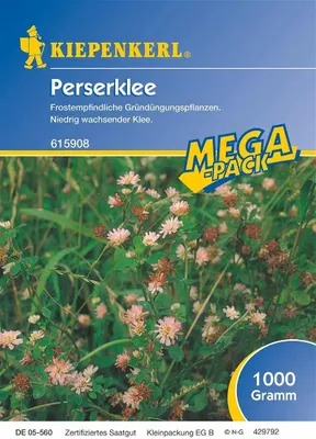 Produktbild von Kiepenkerl Gründüngung Perserklee Trifolium resupinatum 1 kg
