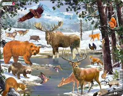 Produktbild von Larsen Maxi FH32, 54 Stück(e), Flora & Fauna