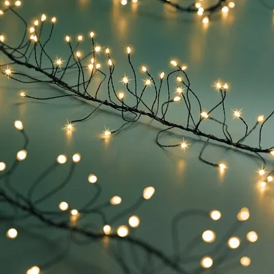 Immagine prodotto di Kaemingk Lumineo Catena luminosa a LED Cluster Twinkle 960 LED, luce calda classica, per esterni, 6 m, nera