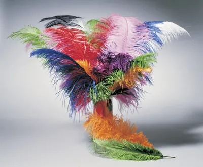 Produktbild von Straußenfeder ca. 50-60 cm Karneval Fasching, Farbe:weiß