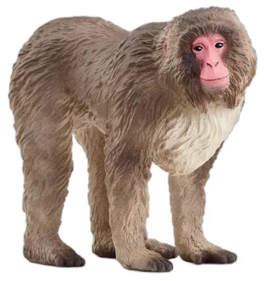 Immagine prodotto di Scarpe Schleich 14871 da Unisex