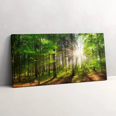 Produktbild von Wald und Sonnenaufgang – Leinwandbild Wandbild – 100x50 cm – Leinwandbilder – Wandbilder – Schlafzimmer – Flur