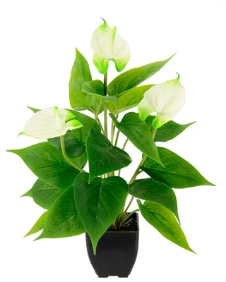 Obrázok produktu pre Umelá rastlina Anthurium v črepníku – exotická kvetina – dekoratívna rastlina