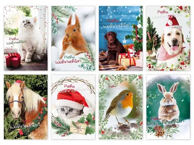 Produktbild von Weihnachten 100 Weihnachtskarten mit Umschlag á 1,25 - Bundle