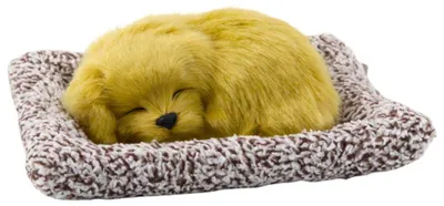 Zdjęcie produktu dla LEAN Toys 27898 Śpiący labrador na poduszce z miękkim futerkiem i torbą