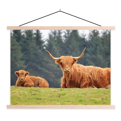 Produktbild von MuchoWow® Textilposter Schottische Highlander - Gras - Wald 40x30 cm mit holzfarbenen Rahmen - Bilder