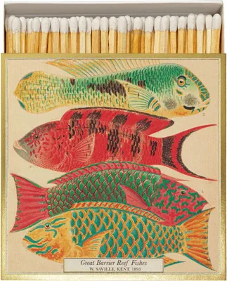 Immagine prodotto di ARCHIVIST Fiammiferi - Collezione "Natural History Museum Fish"