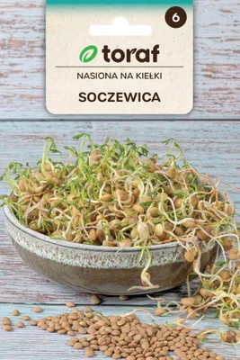 Zdjęcie produktu dla Nasiona na kiełki Soczewica - Toraf 338