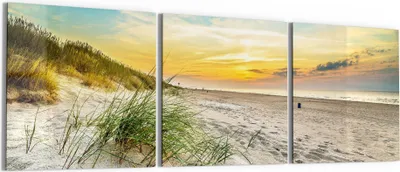 Produktbild von DEQORI Glasbild Echtglas 3x50x50 cm 'Baltischer Dünenstrand' Wandbilder XXL groß