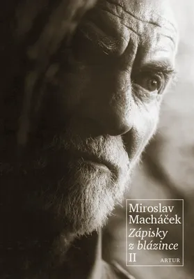 Image de Zápisky z blázince II (Macháček Miroslav)