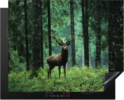 Produktbild von KitchenYeah© Herdabdeckplatte Hirsche - Wald - Bäume - Tiere - Natur , 65x52cm, Küche Deko, Glaskeramikkochfeld Herdabdeckung, Abdeckplatte fùr Kochfeld