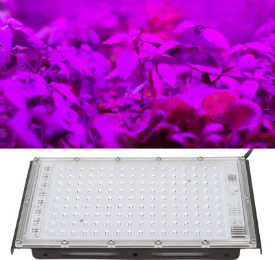 A grow light is shown above a close-up of plants under purple light.