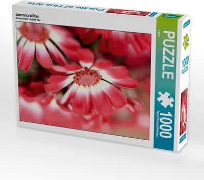 Produktbild von CALVENDO Puzzle cineraria blüten | 1000 Teile Lege-Größe 64x48cm Foto-Puzzle für glückliche Stunden