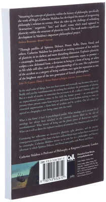 Image de Ontology of the Accident