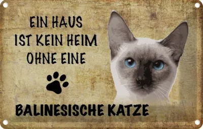 Produktbild von vianmo Blechschild 12x18 cm balinesische Katze Tier Haustier