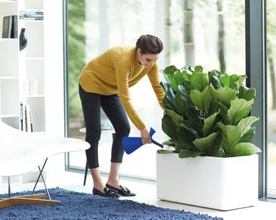 Image de Pompe à eau de salle de bain pour décoration d'intérieur - Ø 15,0 x H 29,5 cm - Orange