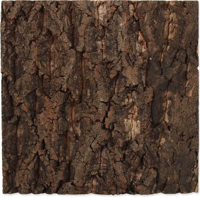 Obrázek produktu pro Repti Planet 007-54030, Dřevo, 1 kusů, 285 mm, 20 mm, 280 mm