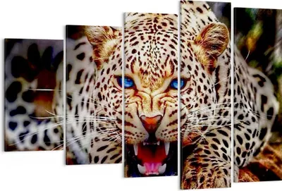 Produktbild von Bild auf Leinwand - Leinwandbild - Panther Tier - 150x100cm - Wand Bild - Wanddeko - Wandbilder - Leinwanddruck - Bilder - Kunstdruck - Wanddekoration - Leinwand bilder - Wandkunst - EG150x100-3506