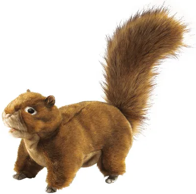 Produktbild von Folkmanis Eichhhörnchen Handpuppe 30 cm