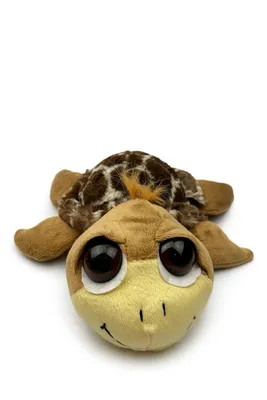 Produktbild von Plüschtier Schildkröte 25 cm Braun – Weiches Kuscheltier aus Plüsch