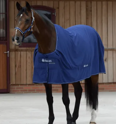 A brown horse wearing a navy blue blanket stands in front of a wooden stable.