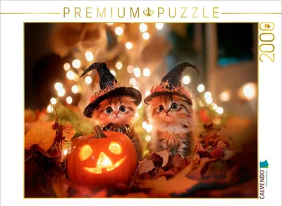 Produktbild von CALVENDO Puzzle Katzenkinder im Halloweenfieber | 2000 Teile Lege-Größe 90x67cm Foto-Puzzle für glückliche Stunden
