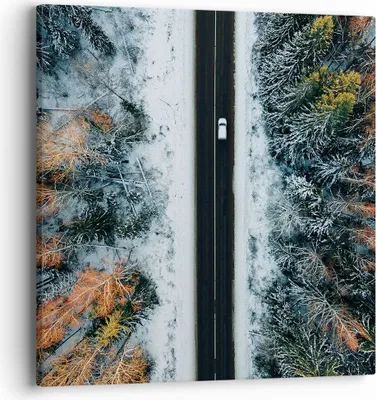 Produktbild von Bild auf Leinwand - Leinwandbild - Einteilig - Wald Weg Schnee - 40x40cm - Wand Bild - Wanddeko - Wandbilder - Leinwanddruck - Bilder - Wanddekoration - Leinwand bilder - Wandbild - AC40x40-4654
