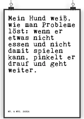 Produktbild von Mr. & Mrs. Panda Bild Mein Hund weiß, wie... DIN A5 - Weiß - Geschenk, wanddeko, Spruch, witzig, Sprüche Weisheiten Zitate Lustig Weisheit Worte, Herrchen, Kunstdruck