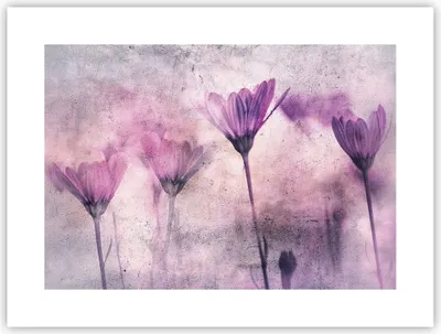 Produktbild von Poster - Poster ohne Rahmen - Blumen Rosa Vintage - 40x30 cm - Wand Bild - Wanddeko - Wandbilder - Kunstposter - Wandposter - Bilder - Kunstdruck - Wanddekoration - Wandbild - P2XAA40x30-4432