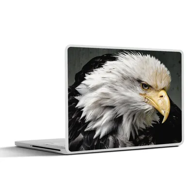 Produktbild von MuchoWow® Laptop Aufkleber Sticker Cover Tiere - Vogel - Adler 31x22.5 cm - Laptop-Deko