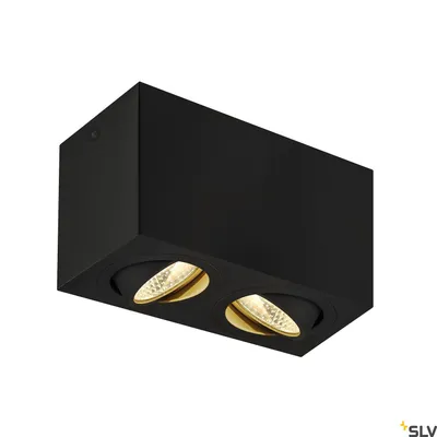 Image de Triledo Double plafonnier apparent 2 flammes noir LED