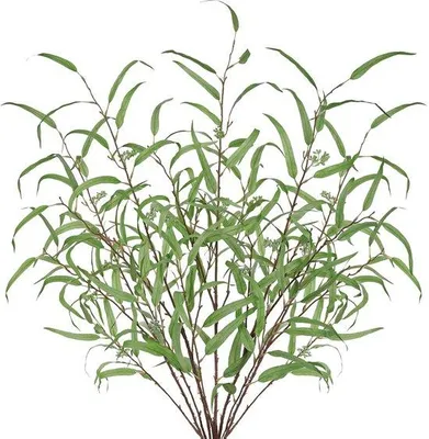 Obrázek produktu pro Umělé eukalyptové květy – realistická dekorace – 5 kusů – 113 cm