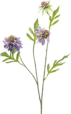 Produktbild von artplants.de Künstlicher Zweig Scabiosa RUXTER, lila, 60cm - Kunst Scabiosazweig