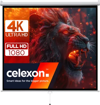 A projection screen displaying a roaring lion image with resolution and brand information.