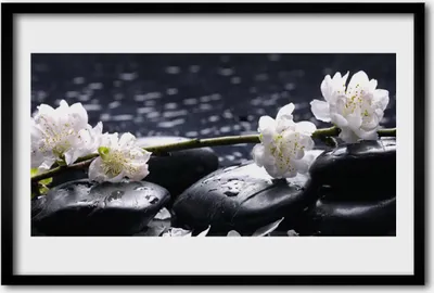 Produktbild von Bild 60x40 MDF-Rahmen Wandkunst Blume Steine