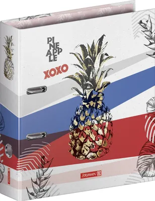 Produktbild von BRUNNEN 1020429651 Ordner Pineapple